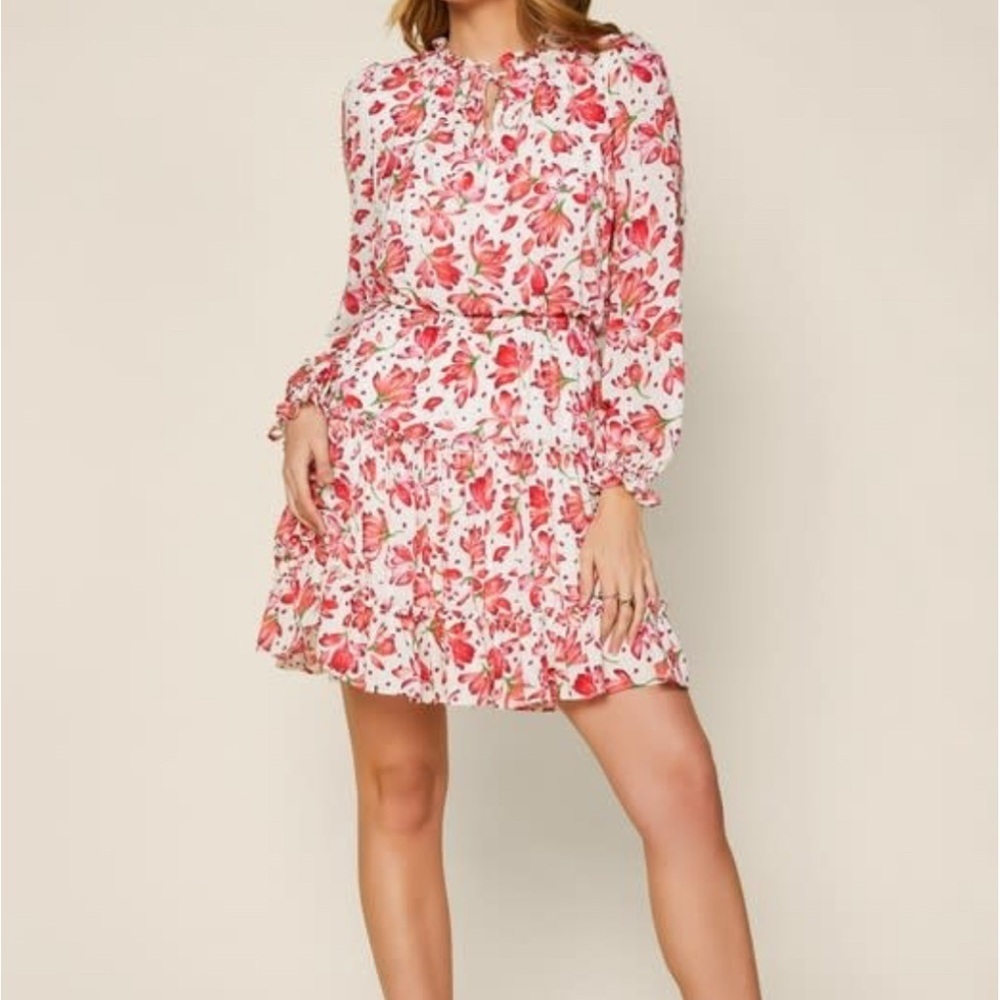 NEW - SKIES ARE BLUE - ANIYA floral Swiss dot dress -